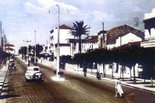 Boulevard du Front de Mer - Les Villas