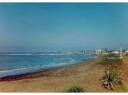 Cap-Matifou Alger-Plage - la plage